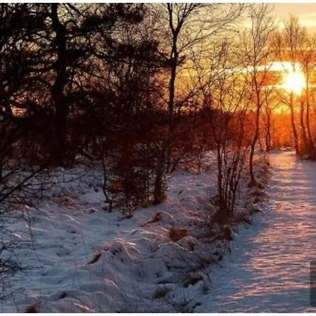 Terrasses De 417 Apartament *